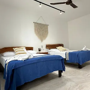 https://plaza-nardos.tulum-hotels.net